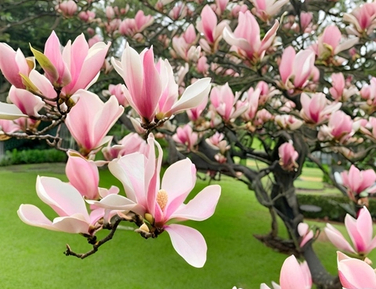 Эксклюзив 2026