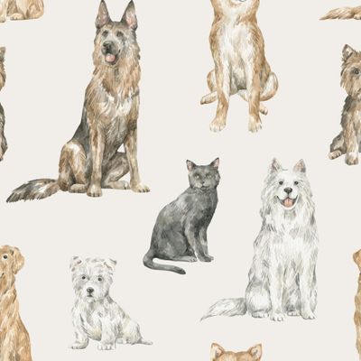 Собаки и коты