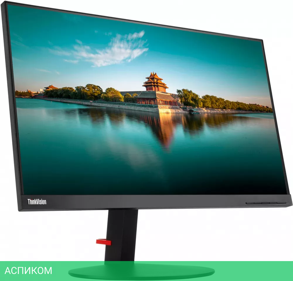 Монитор Lenovo ThinkVision P24h (61AEGAT3EU)