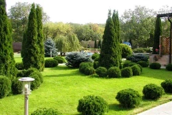 Туя западная Смарагд С3 80-100 см Закупка М54 май/июнь 2026