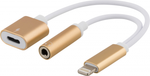 USB cable (2 в 1) lightning/3,5mm/Type-C gold