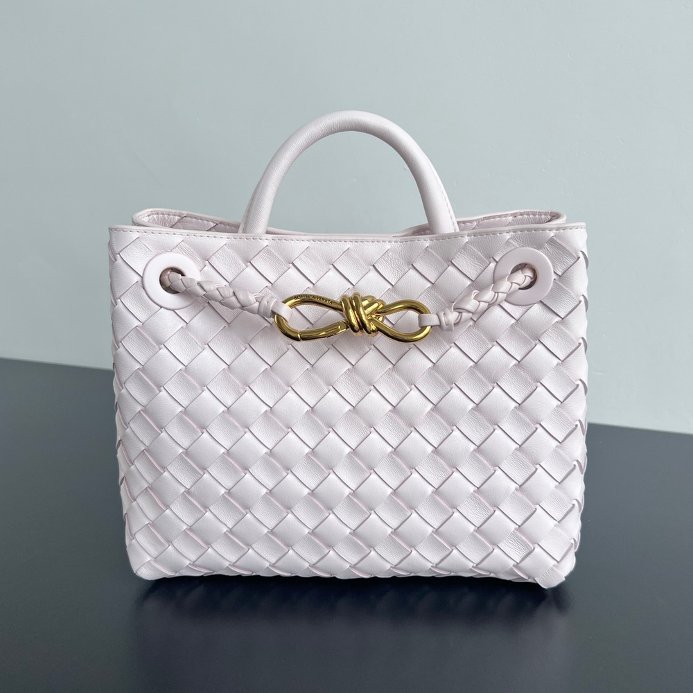 Bottega Veneta Small Andiamo 25 cm