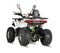 Квадроцикл LINHAI YAMAHA Armour 125 PRO