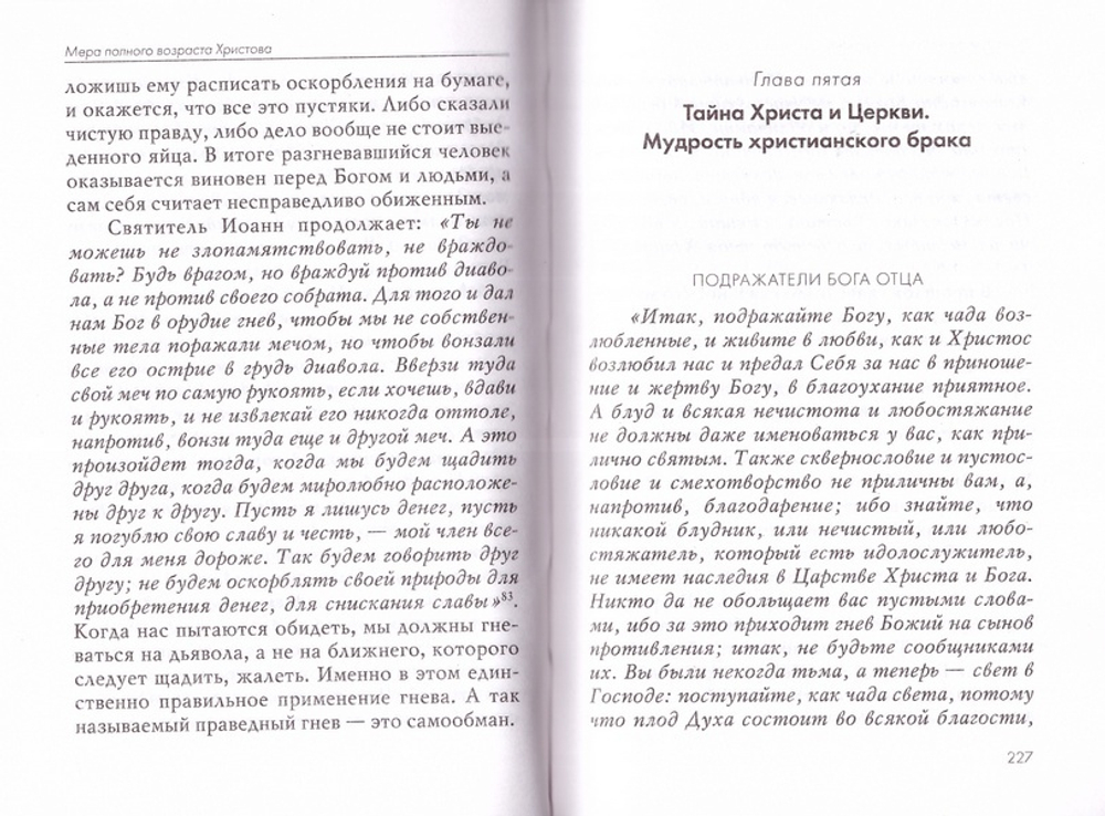 Строительство дома Божия. Толкование на Послание апостола Павла к Ефесянам. Священник Даниил Сысоев