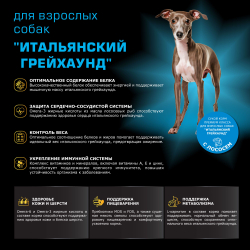 Корм сухой для взрослых собак породы Итальянский грейхаунд, с лососем, 2,5 кг, QUATTRO