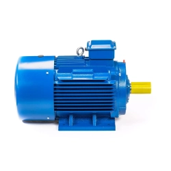 Электродвигатель 5АИ 200 L4 45/1500 IM1001