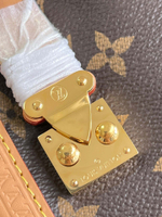 Louis Vuitton Side Trunk