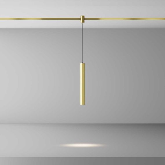 Трековый светильник Maytoni Technical TR155-1-5W4K-BS