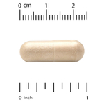 Super Nutrition, органический гриб кордицепс, 1 г, 60 растительных капсул (0,5 г в 1 капсуле)