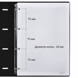 Тетрадь на кольцах БОЛЬШАЯ А4 (240х310 мм), 120 л., под кожу, BRAUBERG VISTA, "Туман", 404515