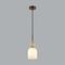 Подвесной светильник Odeon Light Lolla Midcent 6625/1B