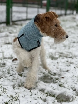 Свитер для собак на молнии попона