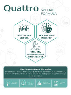 Корм для собак средних и крупных пород SF Immuno Balance, (гистиоцитарные опухоли), 3 кг, QUATTRO
