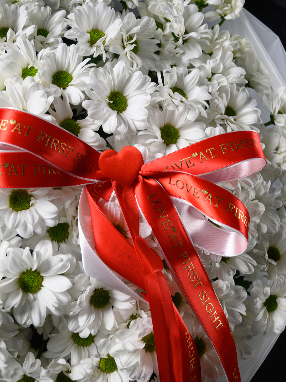 Моя Любовь 25