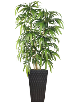 Дерево бамбук 150см в коричневом кашпо ротанг