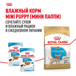 Royal Canin Chihuahua Puppy Корм сухой для щенков породы Чихуахуа до 8 месяцев 0,5 кг