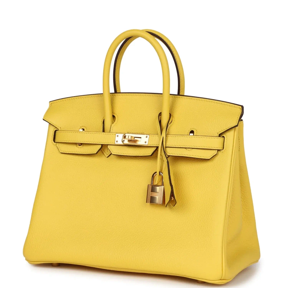 Сумка из коллекции D с золотой фурнитурой Hermès Birkin
