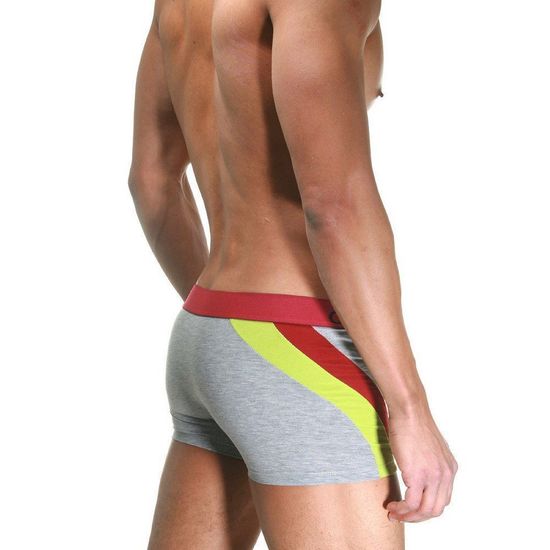 Трусы мужские боксеры серые DARKZONE DZN4103