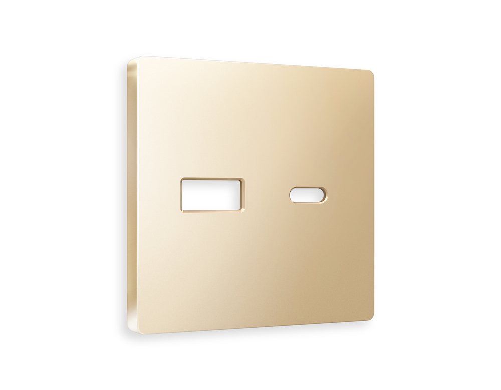 AP6110 Лицевая панель ALFA (Шампань) для розетки 2USB тип A+C QUANT