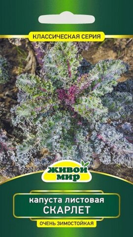 Капуста листовая "ЖМ. Скapлeт" 0,5г., Польша.