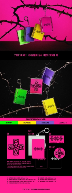 Альбом TXT - 7TH YEAR: A Moment of Stillness in the Thorns [Photocard Case Ver.] | с подарками
