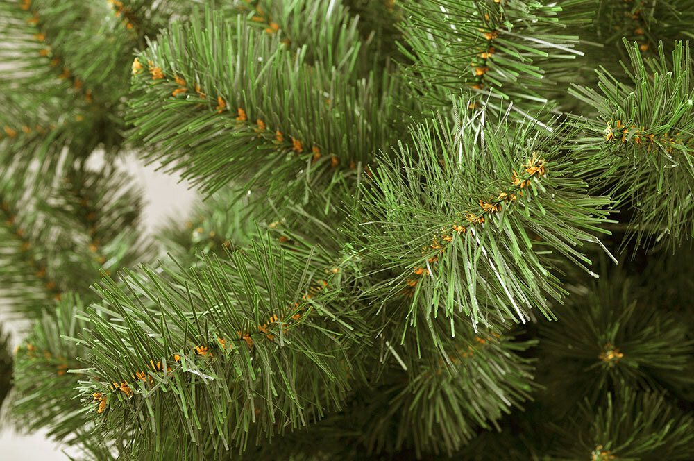 Ель царь елка Алтайская 150 см