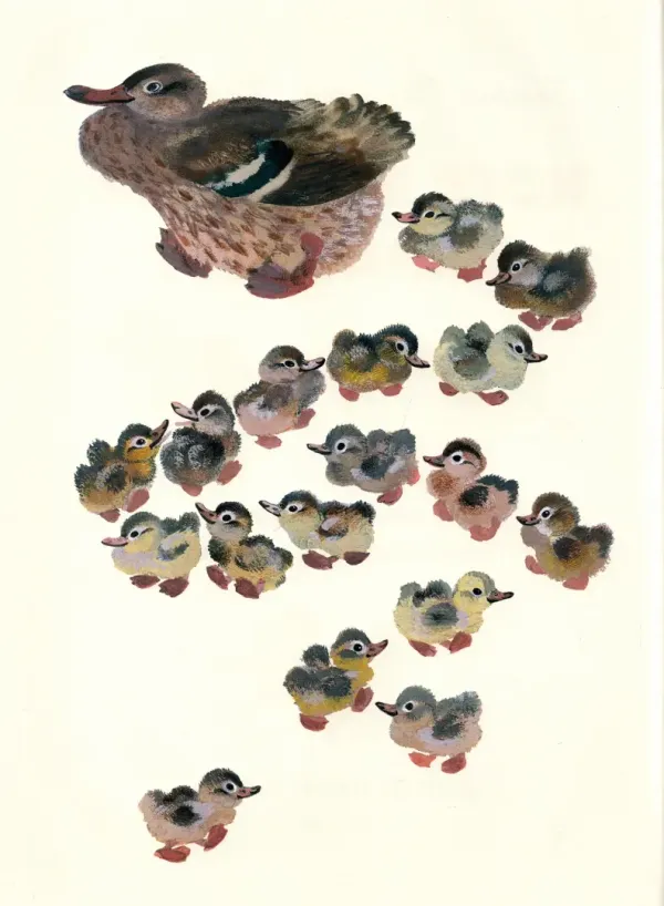 Когда утёнок вырастет?