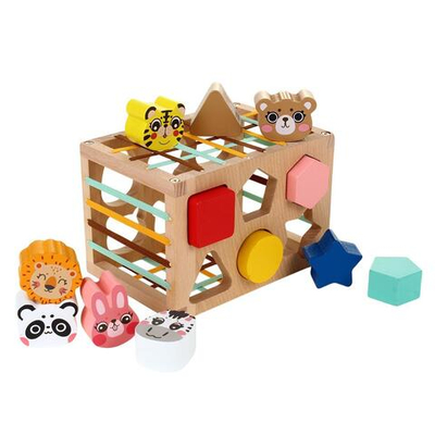 Развивающая игрушка деревянная Сортер кубик, коробка C-41818