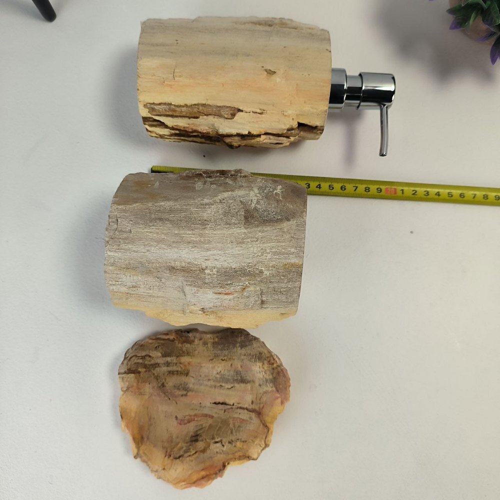 Набор из окаменелого дерева 4 предм Fossil Set NF-63062 поднос 29см*43см