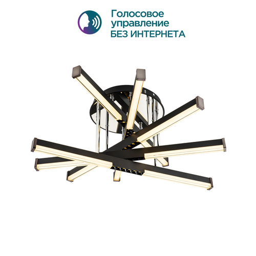 Потолочная светодиодная люстра Modelight MDL.9371.600CL BK