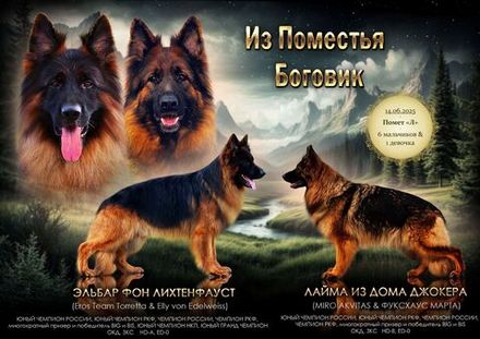 Помет "Л" - 14.06.2025 д.р.