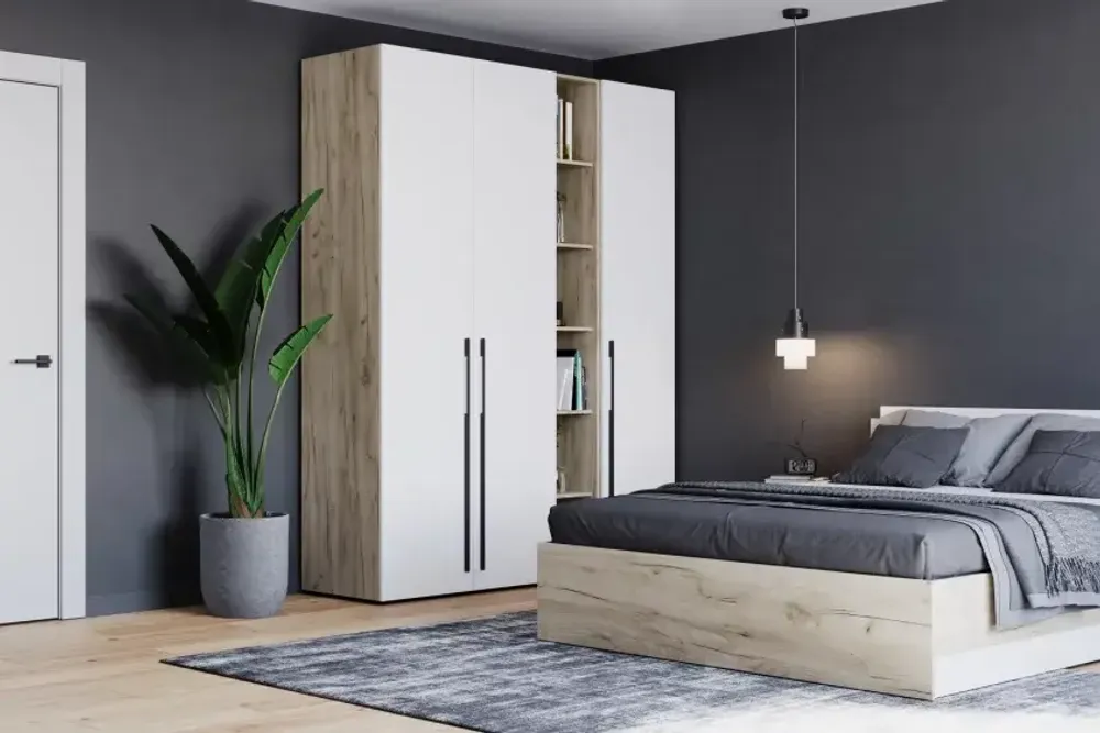 Шкаф двухстворчатый Стоун С21 (2штанги) ЛДСП, MODERN, г. Ижевск