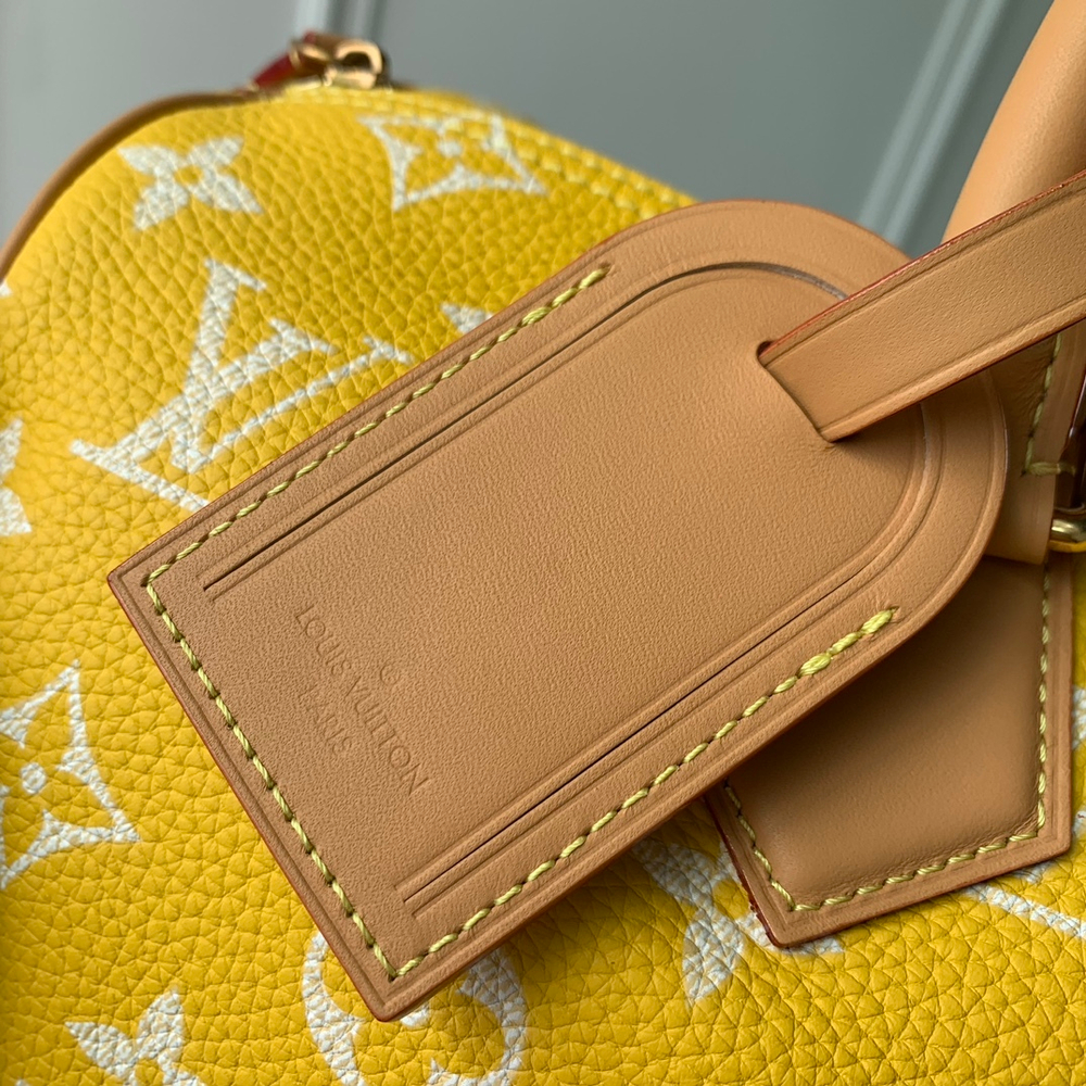Louis Vuitton Speedy P9 Bandouliere 25