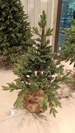 Искусственная ель на ножке «Датская» (хвоя Литая) 120 см / 1.2 м