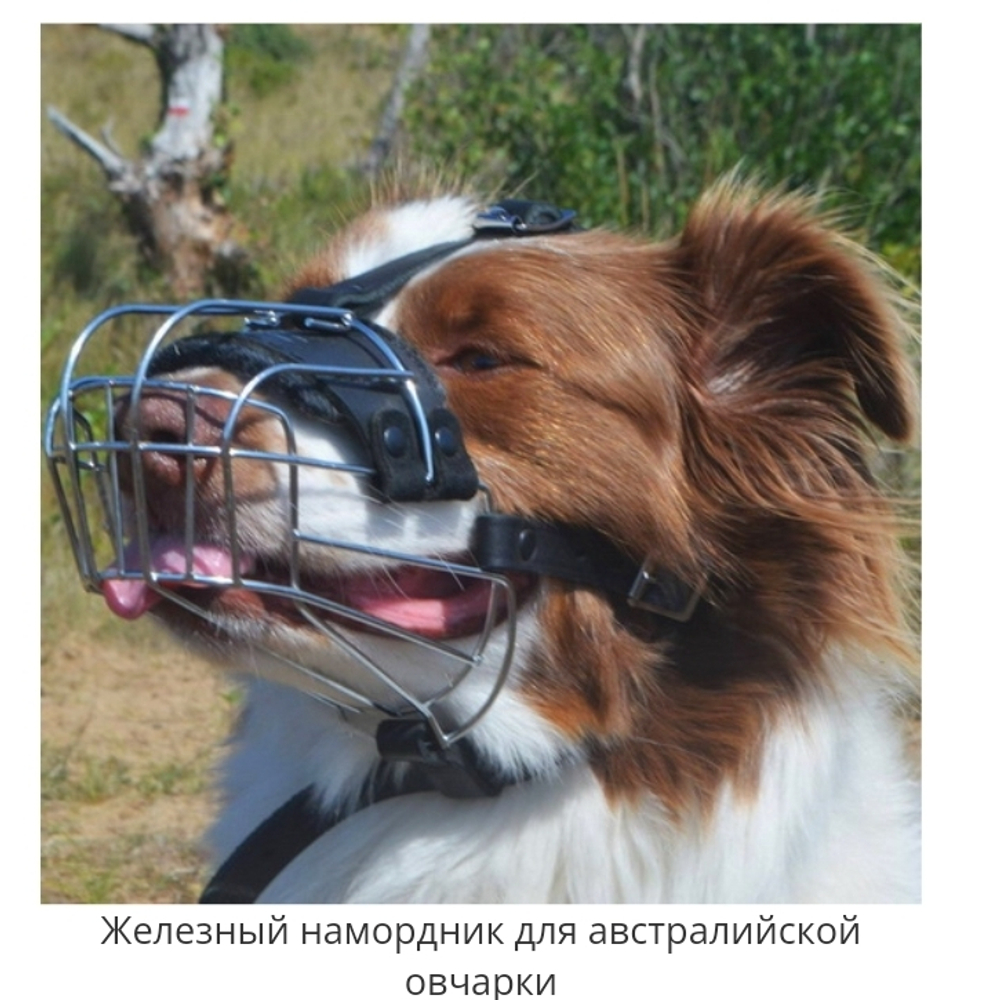 НАМОРДНИК МЕТАЛЛИЧЕСКИЙ (М4)