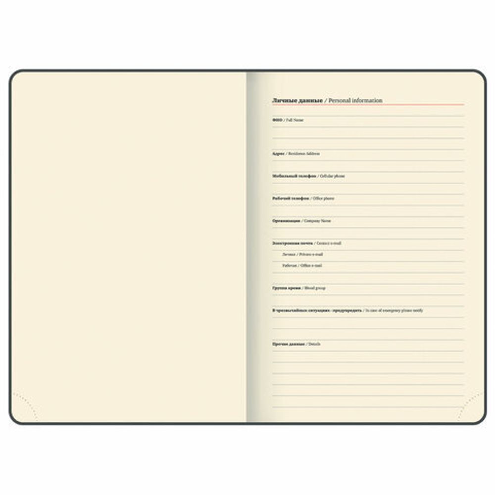 Ежедневник датированный 2025, А5, 151х213 мм, BRAUBERG "Note", под кожу, держатель для ручки, резинка-фиксатор, красный, 115932