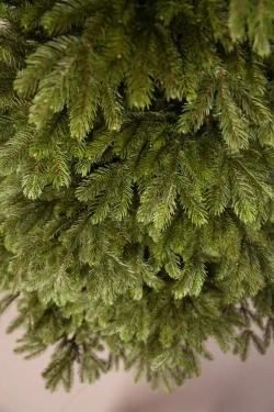 Ель Коттеджная 215 см., литая хвоя+пвх, TreeDeLux (70073)