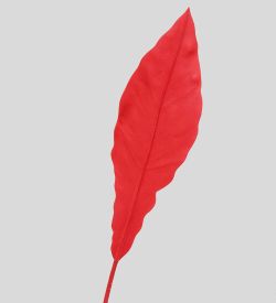 TR 605M Антуриум