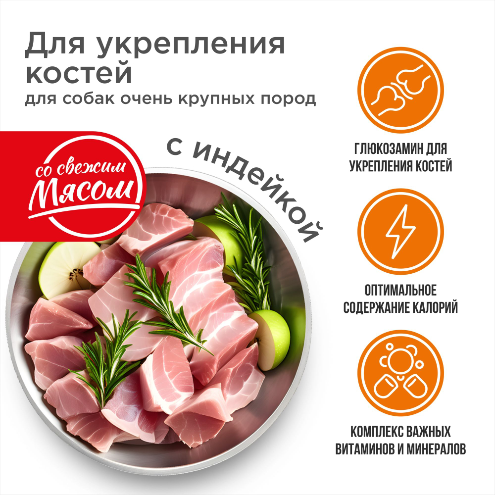 Корм сухой для взрослых собак очень крупных пород, премиум полнорационный комплекс, для укрепления костей у собак, с индейкой, 2,5 кг, QUATTRO