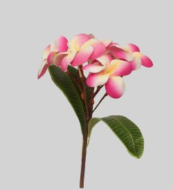 TR 614HM2 Плумерия 5 бутонов с листьями