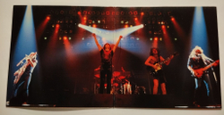 Винтажная виниловая пластинка LP AC/DC For Those About To Rock We Salute You (Germany 1981)