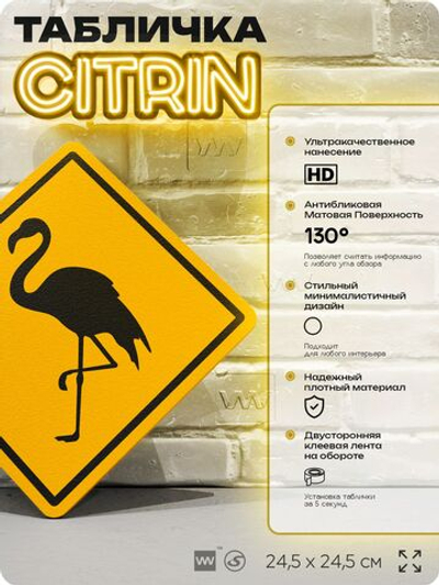 Табличка прикольная "Осторожно, фламинго" на дверь и стену, информационная и предупреждающая, декоративный знак, 24,5х24,5 см, пластиковая, Айдентика Технолоджи