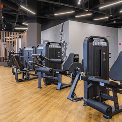 U3002D-JZ Разгибание ног сидя. Стек 135 кг