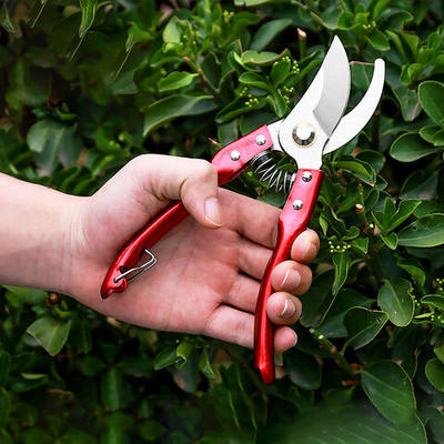 Секатор садовый 21см с пружиной, нерж сталь, красный