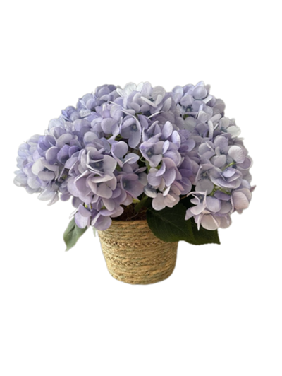 Гортензия голубая в плетеной корзине, в-40 см, д-48 см