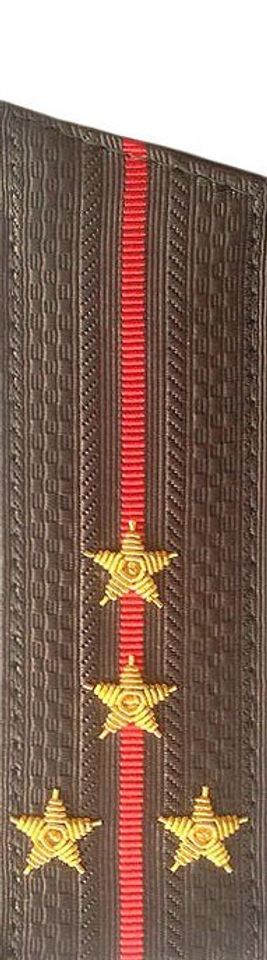 Погоны МО вышитые капитан (скос)