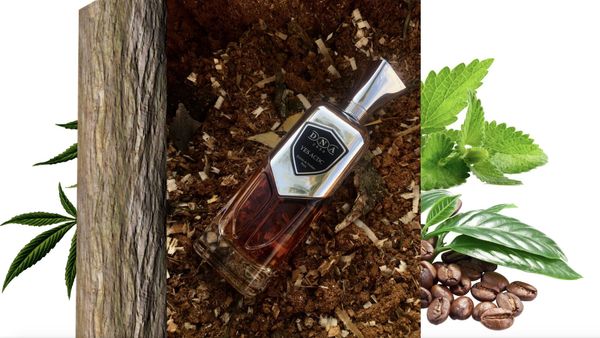 DNA 2030 Yes ACDC (A Country Do Cinema)