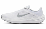 Кроссовки Nike Air Winflo 10