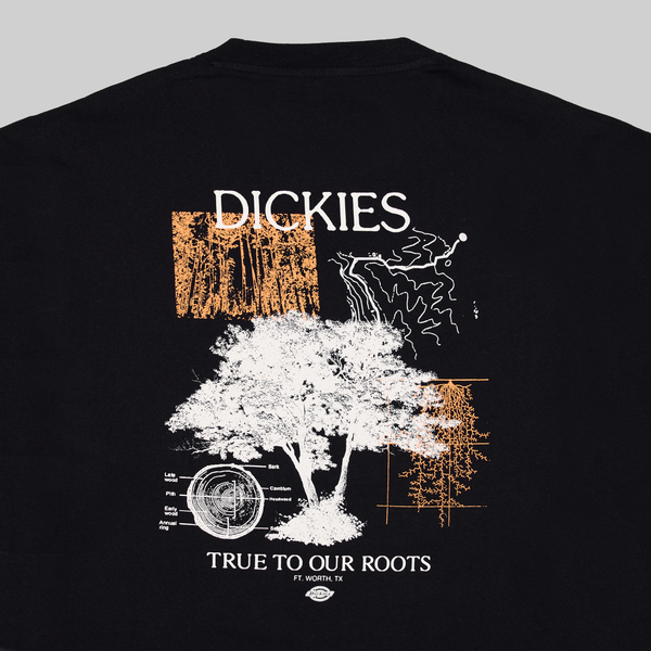 Лонгслив мужской Dickies Kenbridge Tee артикул:DK0A4YVRBLK1 - купить в магазине Дайс